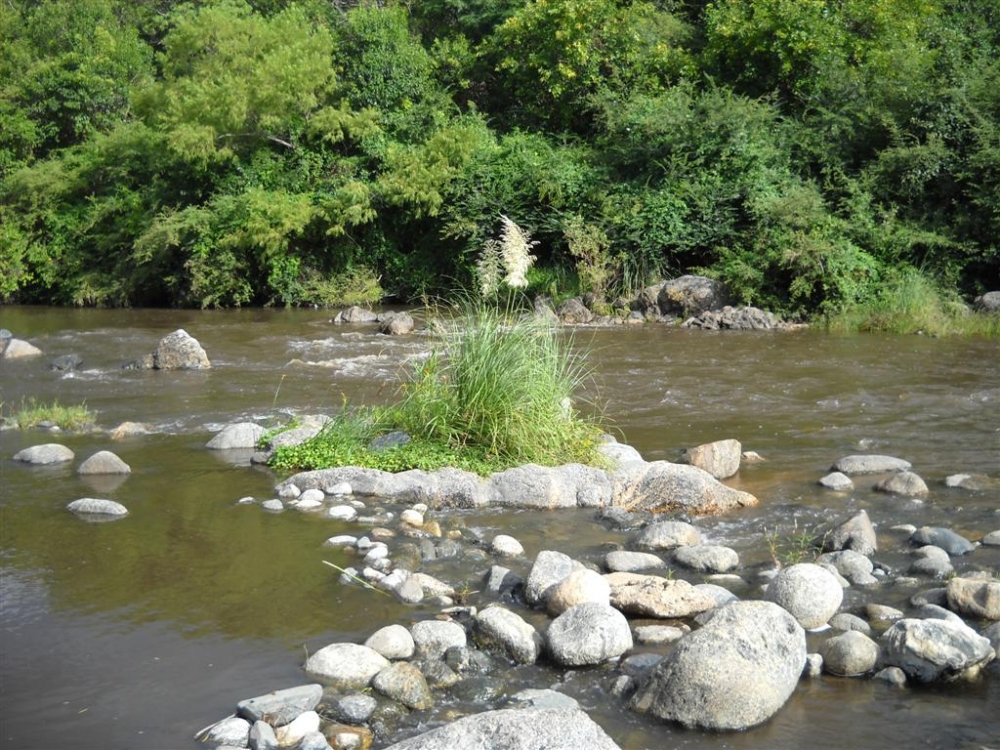 FotoRevista / Convocatoria Mensual / Naturaleza