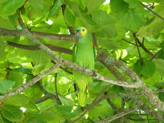 FotoRevista / Convocatoria Mensual / Naturaleza