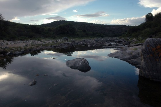 FotoRevista / Convocatoria Mensual / Naturaleza