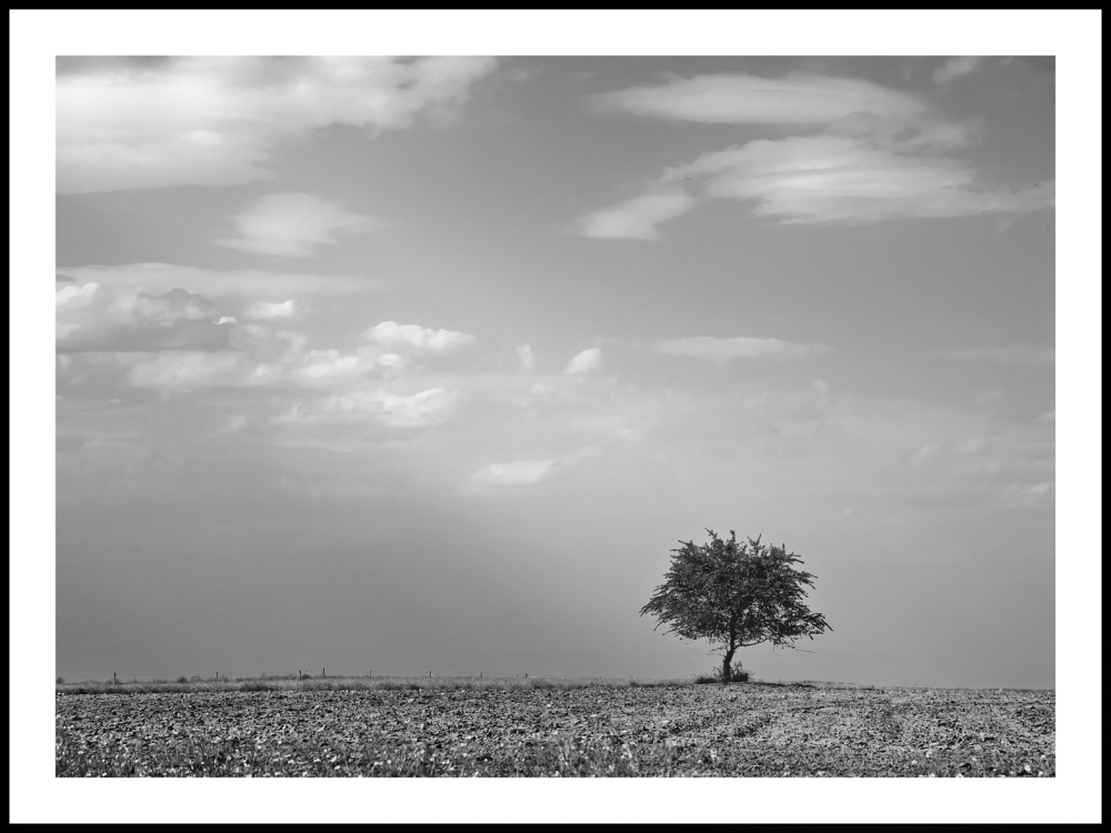 FotoRevista / Convocatoria Mensual / Naturaleza