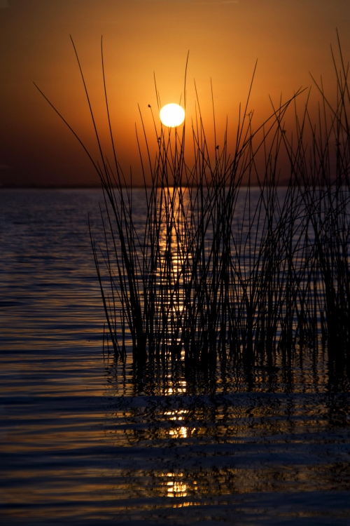 FotoRevista / Convocatoria / luces del atardecer de Noemi Gomez