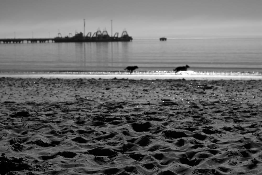 FotoRevista / Convocatoria Mensual / La Playa