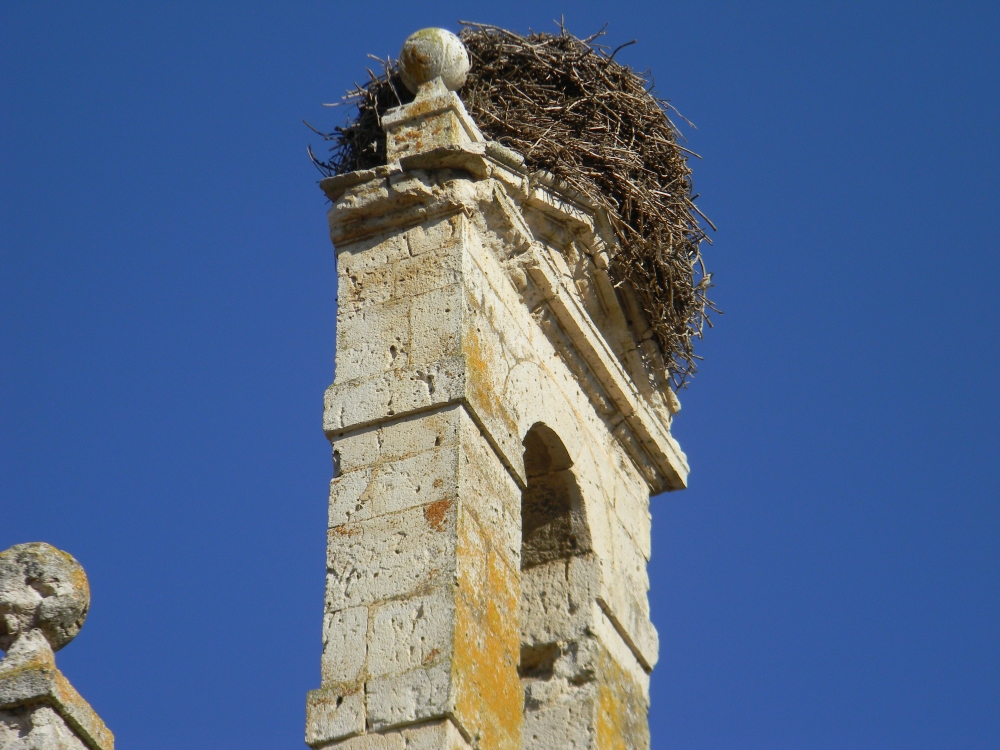 FotoRevista / Convocatoria / El Nido Campanario de Guillermo Mazzeo