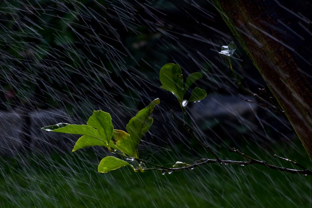 FotoRevista / Convocatoria Mensual / Lluvia