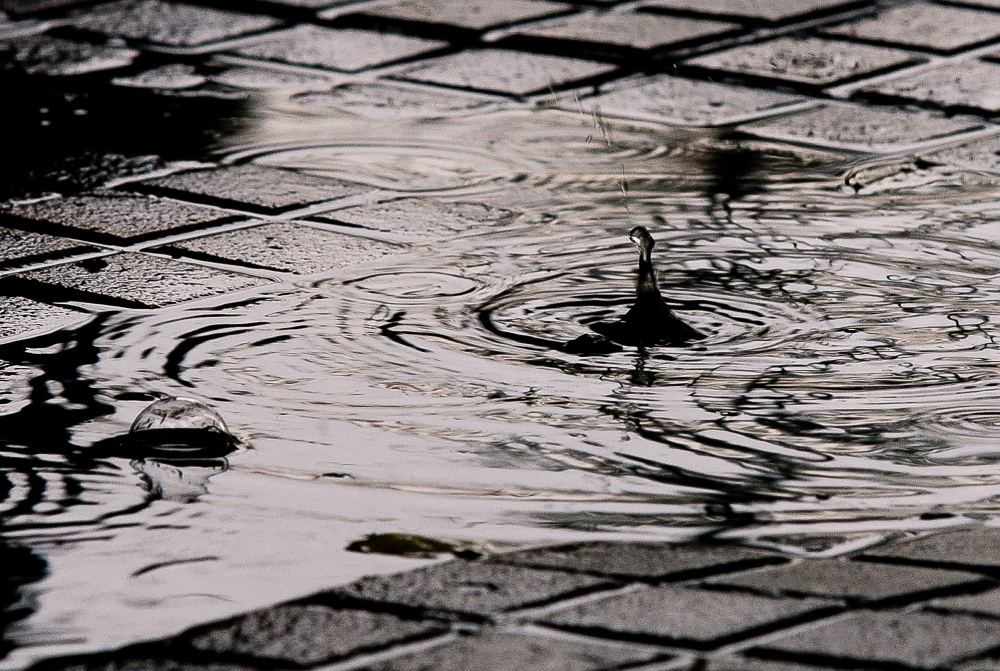 FotoRevista / Convocatoria Mensual / Lluvia