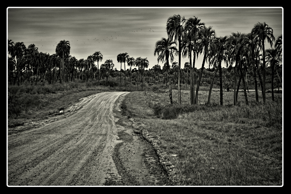 FotoRevista / Convocatoria Mensual / Rutas y caminos