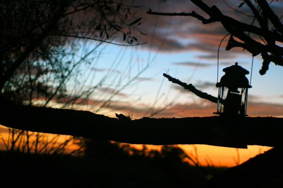 FotoRevista / Convocatoria / atardecer campero de Marcela Falcoff