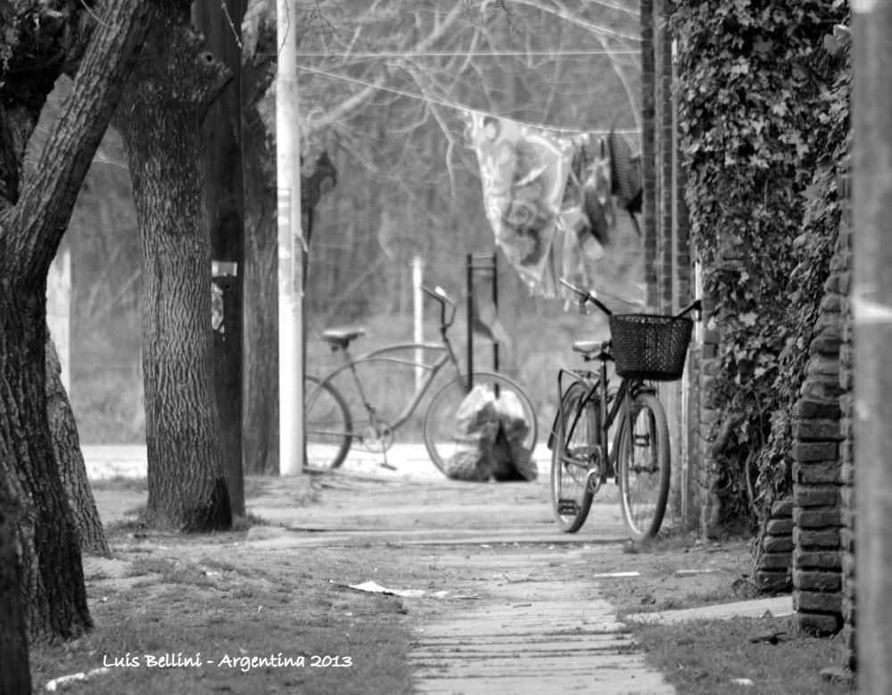 FotoRevista / Convocatoria / En bicicleta .... de Luis Alberto Bellini