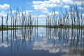 Inundacin en el cielo