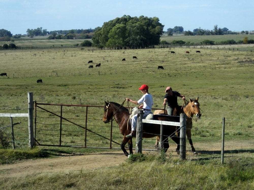 FotoRevista / Convocatoria Mensual / El campo