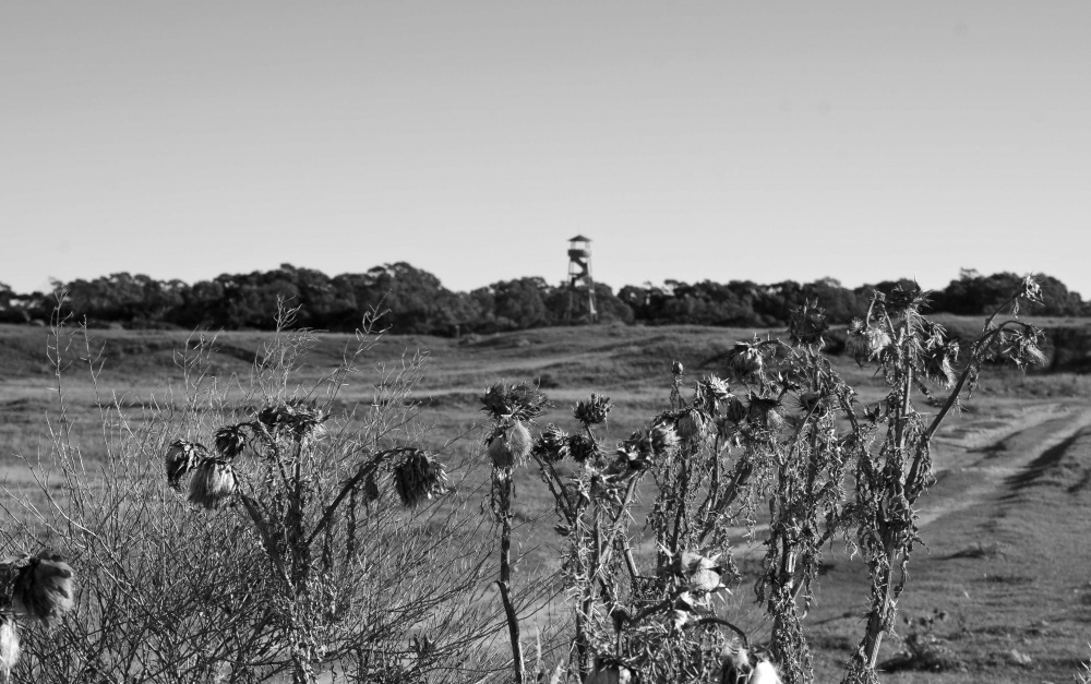 FotoRevista / Convocatoria Mensual / El campo