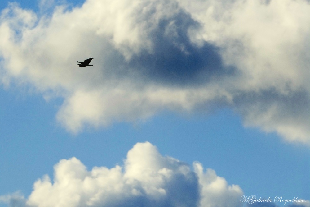 FotoRevista / Convocatoria Mensual / Cielos y nubes