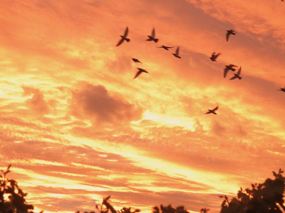 FotoRevista / Convocatoria Mensual / Cielos y nubes