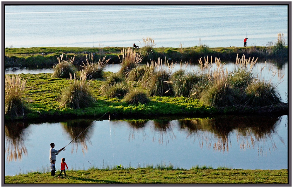 FotoRevista / Convocatoria Mensual / Flora y Fauna