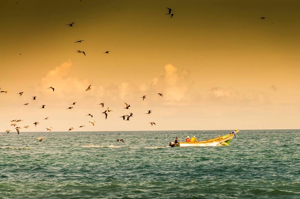 "Verano amarillo" de Andrea Podest