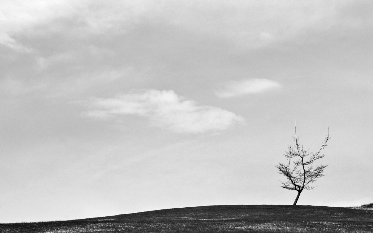 FotoRevista / Convocatoria / El solito de Gisele Burcheri