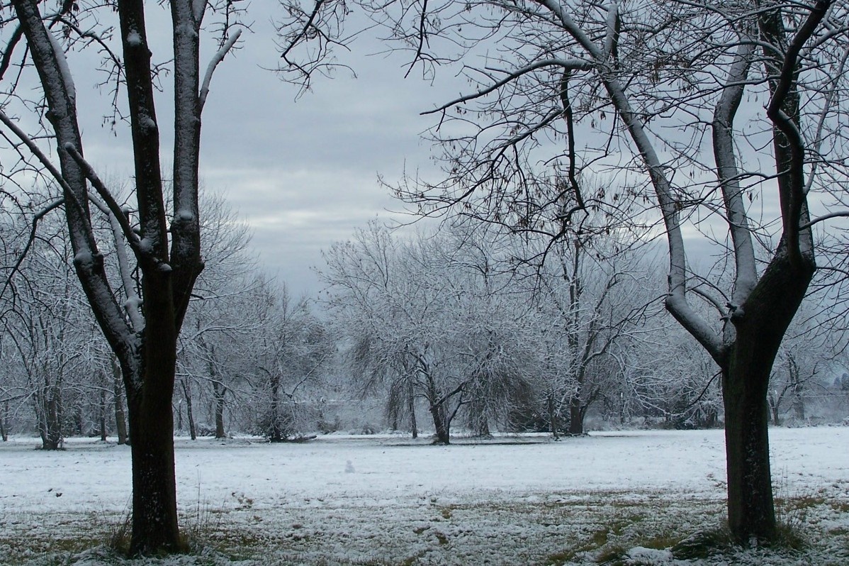 "Invierno en el parque." de Jos Luis Mansur