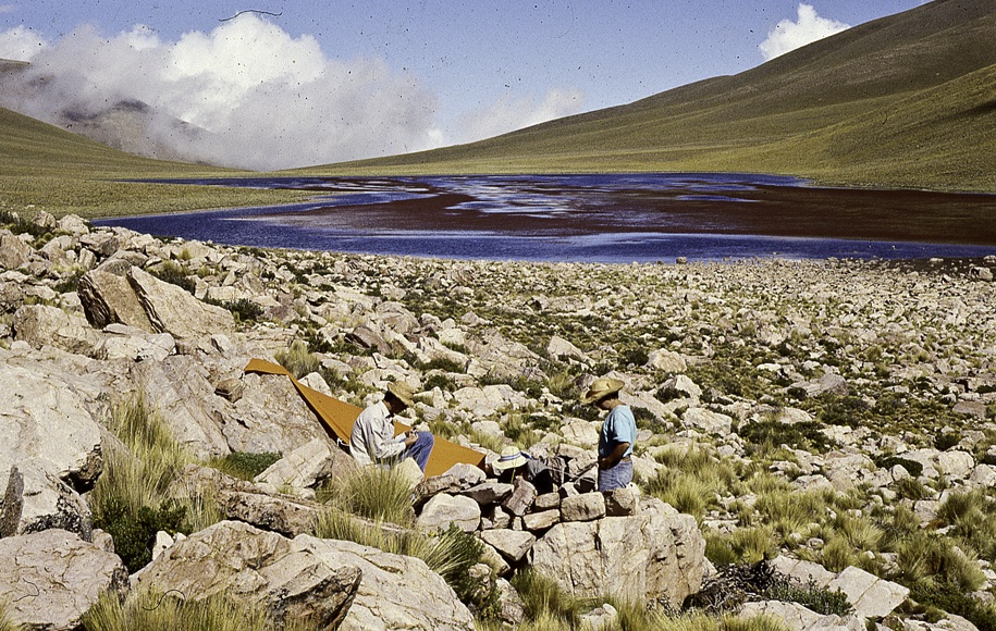 "Laguna Colorada" de Julio Linares