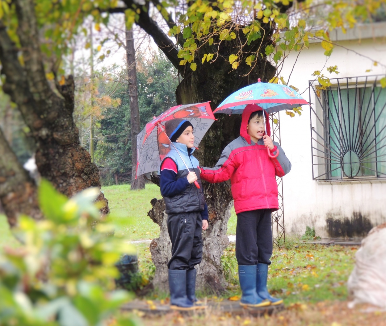 FotoRevista / Convocatoria Mensual / Lluvia