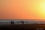 Paseando por el Mar