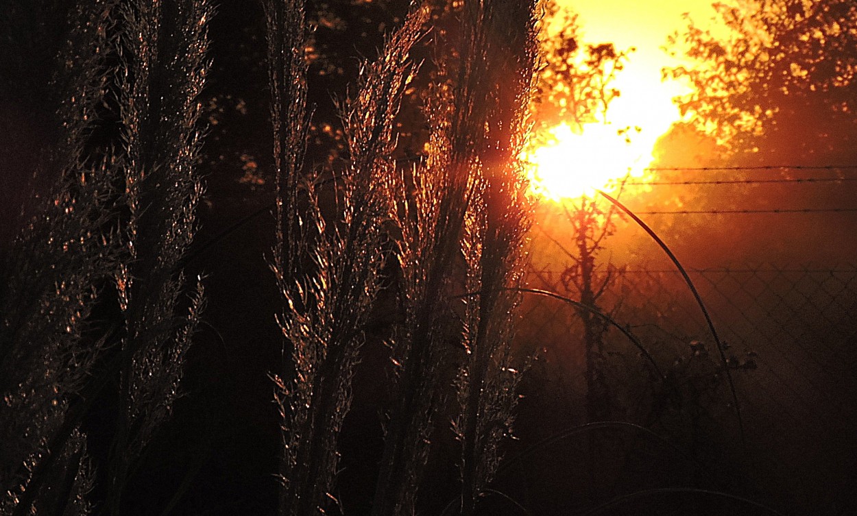 FotoRevista / Convocatoria / Atardecer otoal de Silvia Olliari