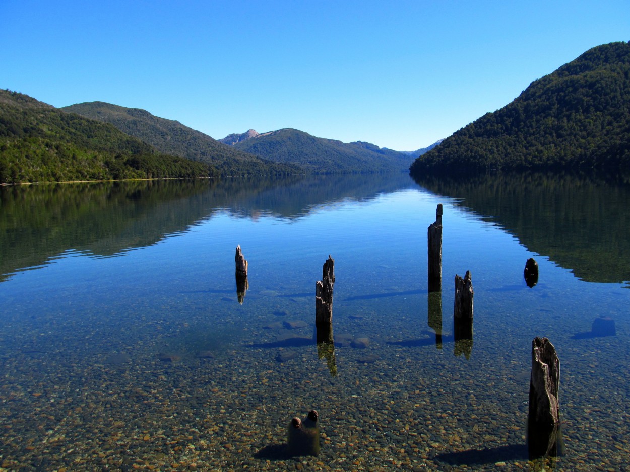 FotoRevista / Convocatoria / Reflejos del lago de Carlos D. Cristina Miguel