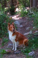 `Posando en el bosque`