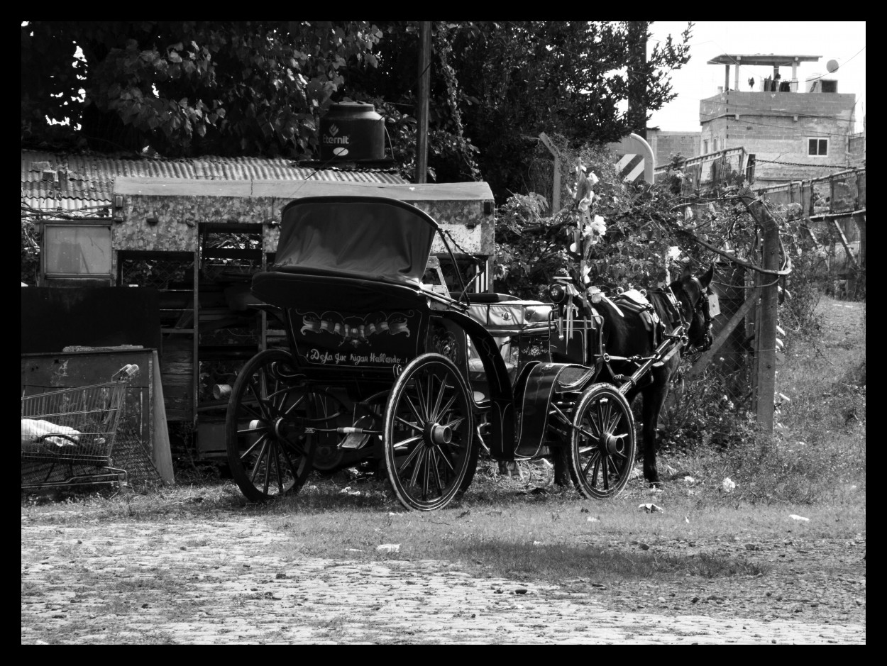 FotoRevista / Convocatoria Mensual / Medios de Transporte