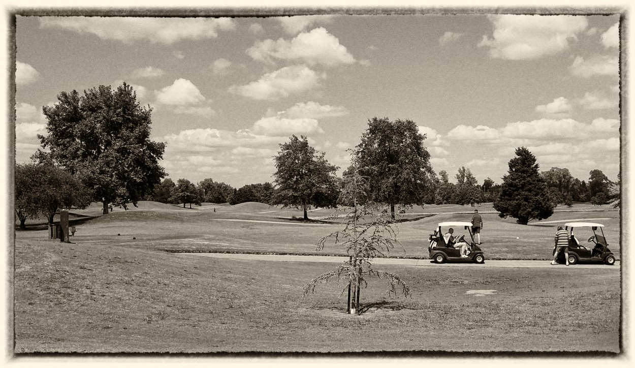 FotoRevista / Convocatoria / Recorriendo el Campo de Golf... de Mara Ins Hempe