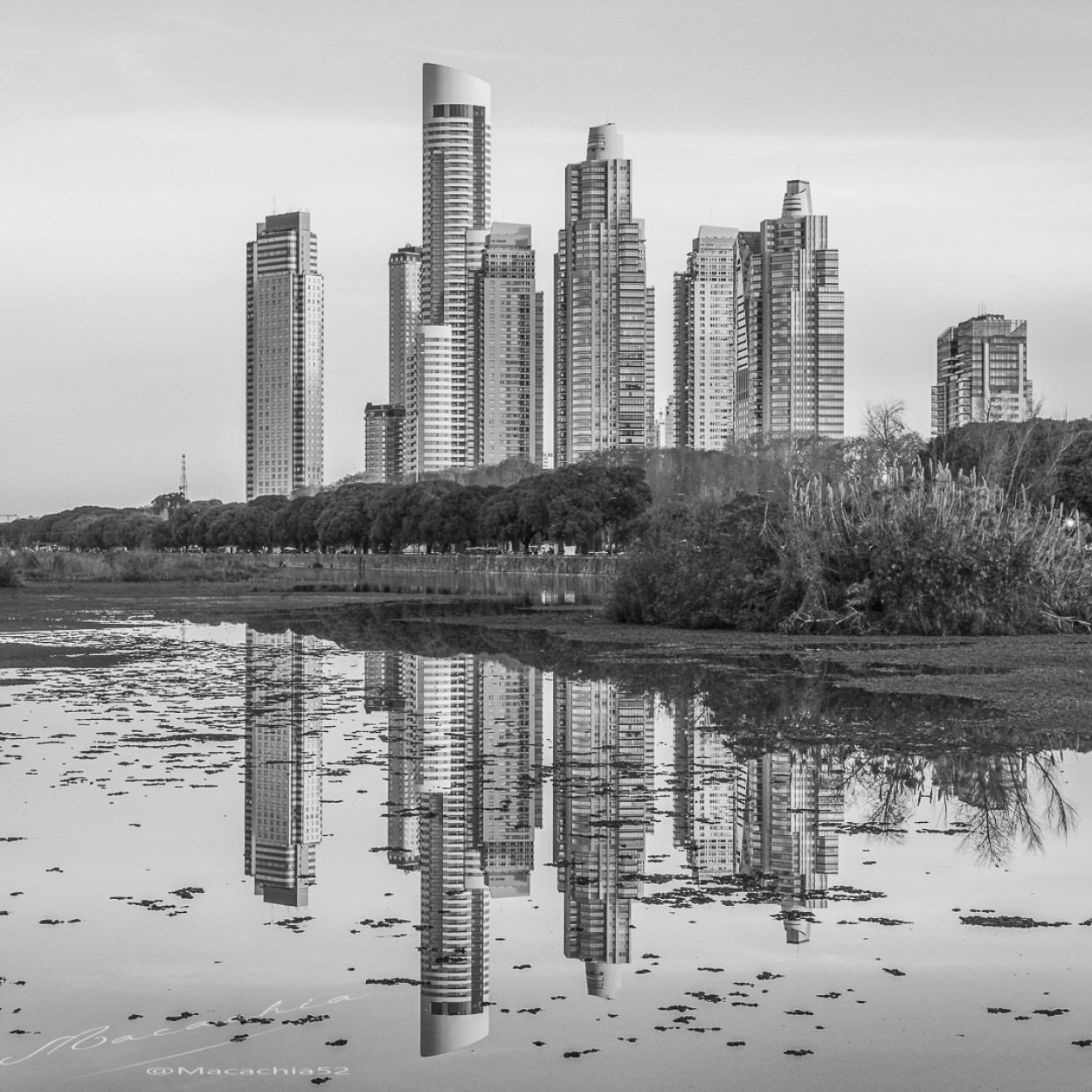 "`Reflejos del poder`" de Mara Del Carmen Chiavaro