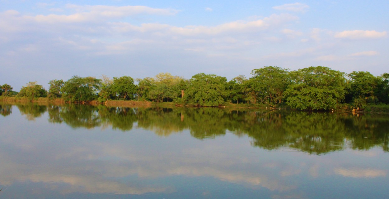 FotoRevista / Convocatoria / Laguna o rbol de Julian Diaz Hernandez