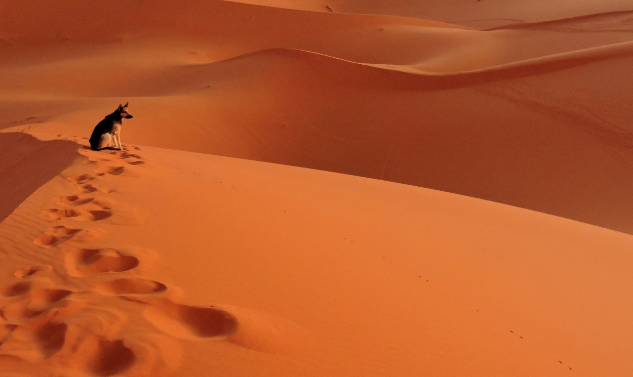 FotoRevista / Convocatoria / en el desierto de Delia Griselda Oliva