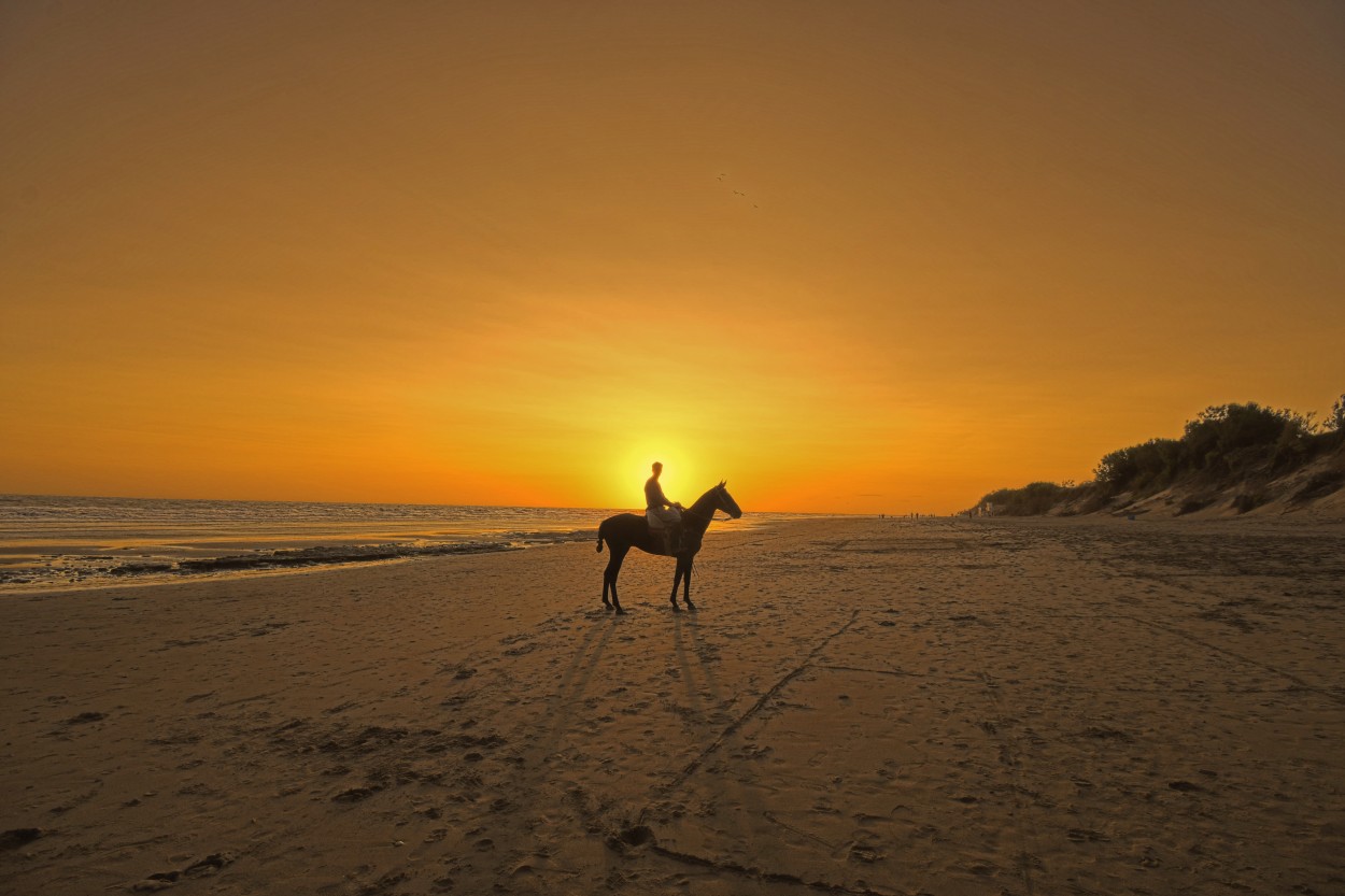 "El caballo y el mar" de Daniel Colmea