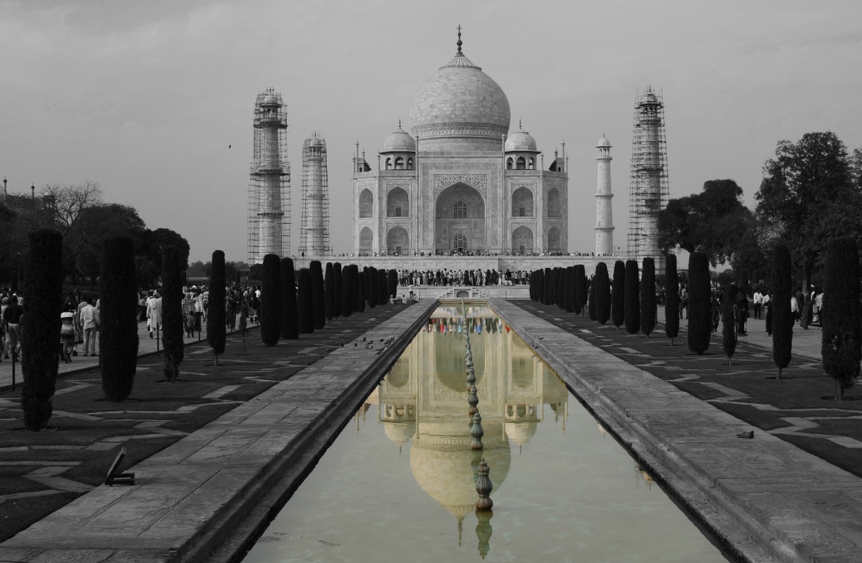 "Taj Mahal" de Sergio Lifischitz