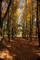 Tunel al invierno