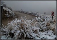 Invierno con nieve