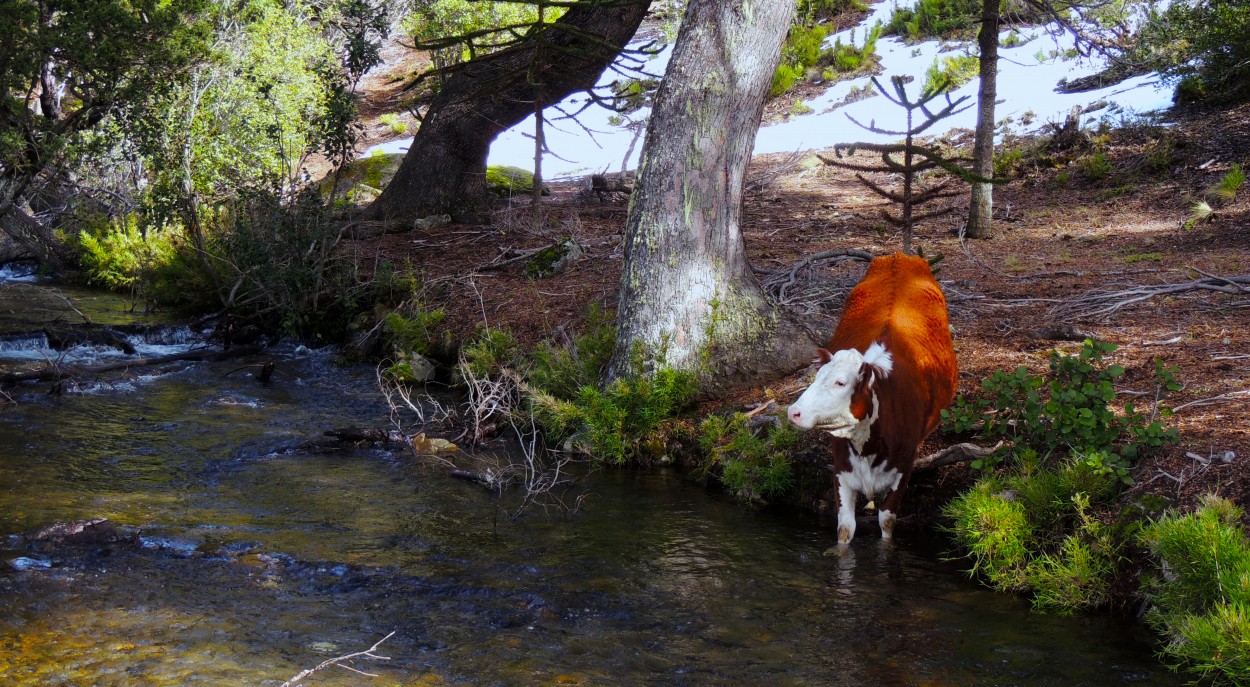 FotoRevista / Convocatoria Mensual / Agua