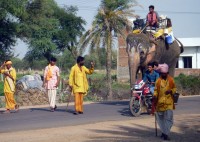 Paseando al elefante...