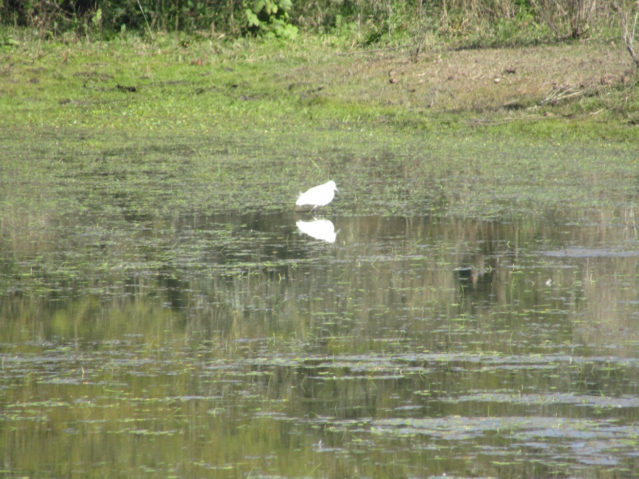 FotoRevista / Convocatoria Mensual / Reflejos