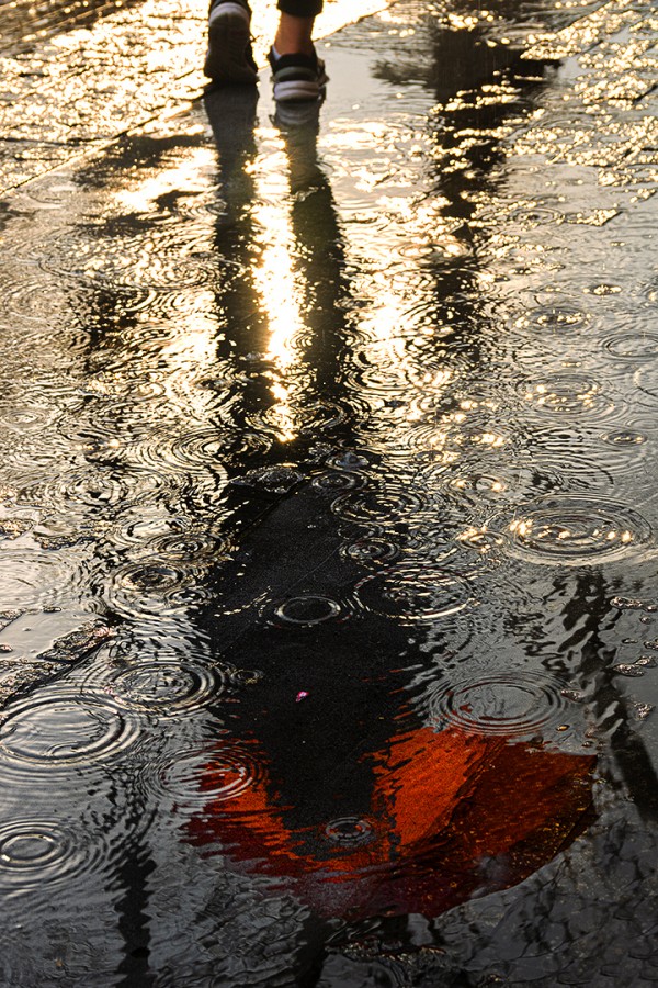 FotoRevista / Convocatoria / Un da de lluvia de Mirta Zozula