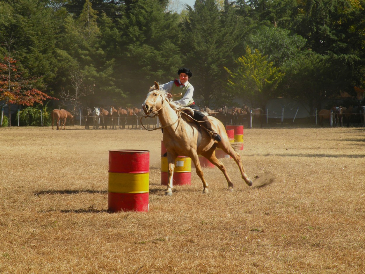 FotoRevista / Convocatoria / destrezas fiestas patrias de Lidia Gonzalez