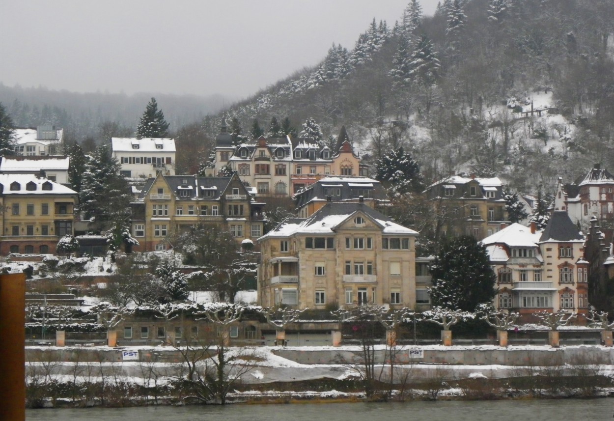 "Frio en Heidelberg" de Sergio Lifischitz