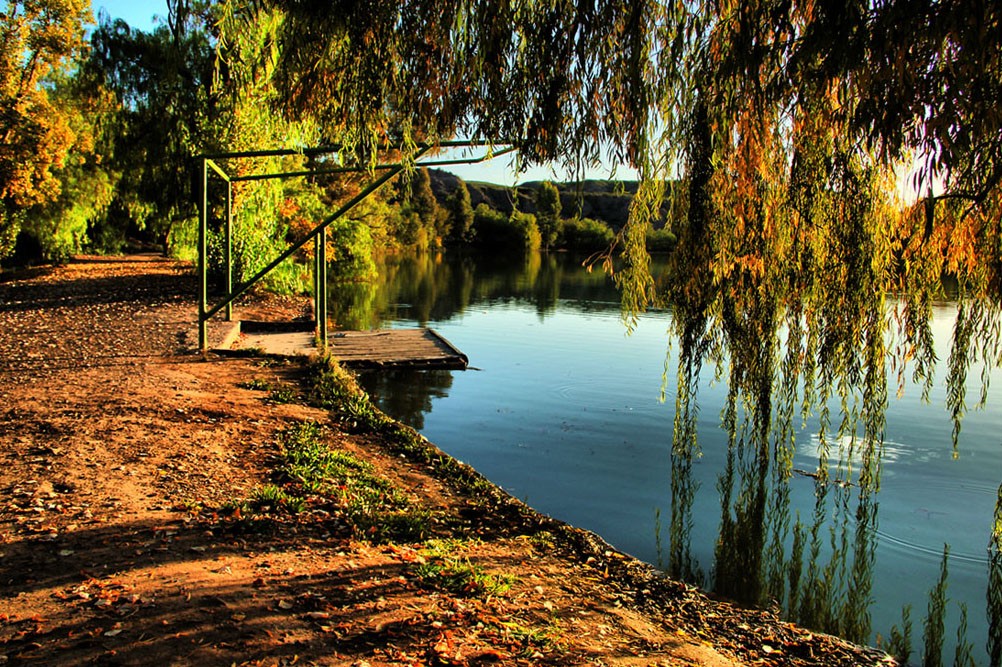 "REFLEJOSSS OTOALESSS !!!" de Maria Eugenia Cailly (euge)