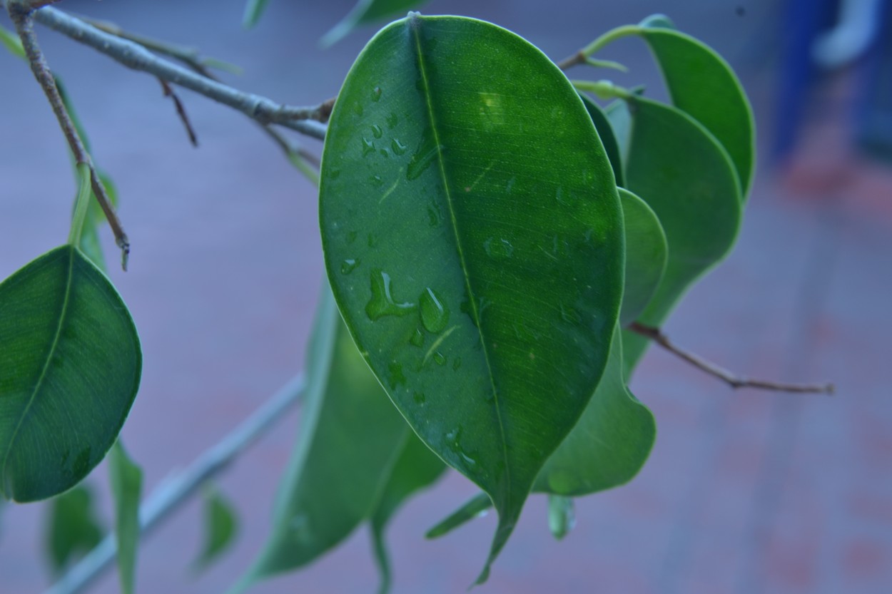 "Gotas" de Ezequiel Boiero