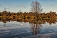 Reflejos