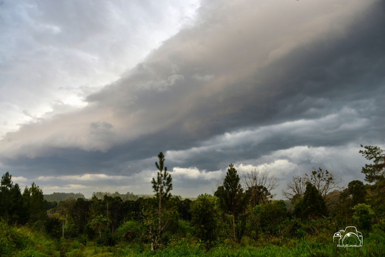 FotoRevista / Convocatoria / la tormenta de La Plata en Misiones de Ricky Kimmich