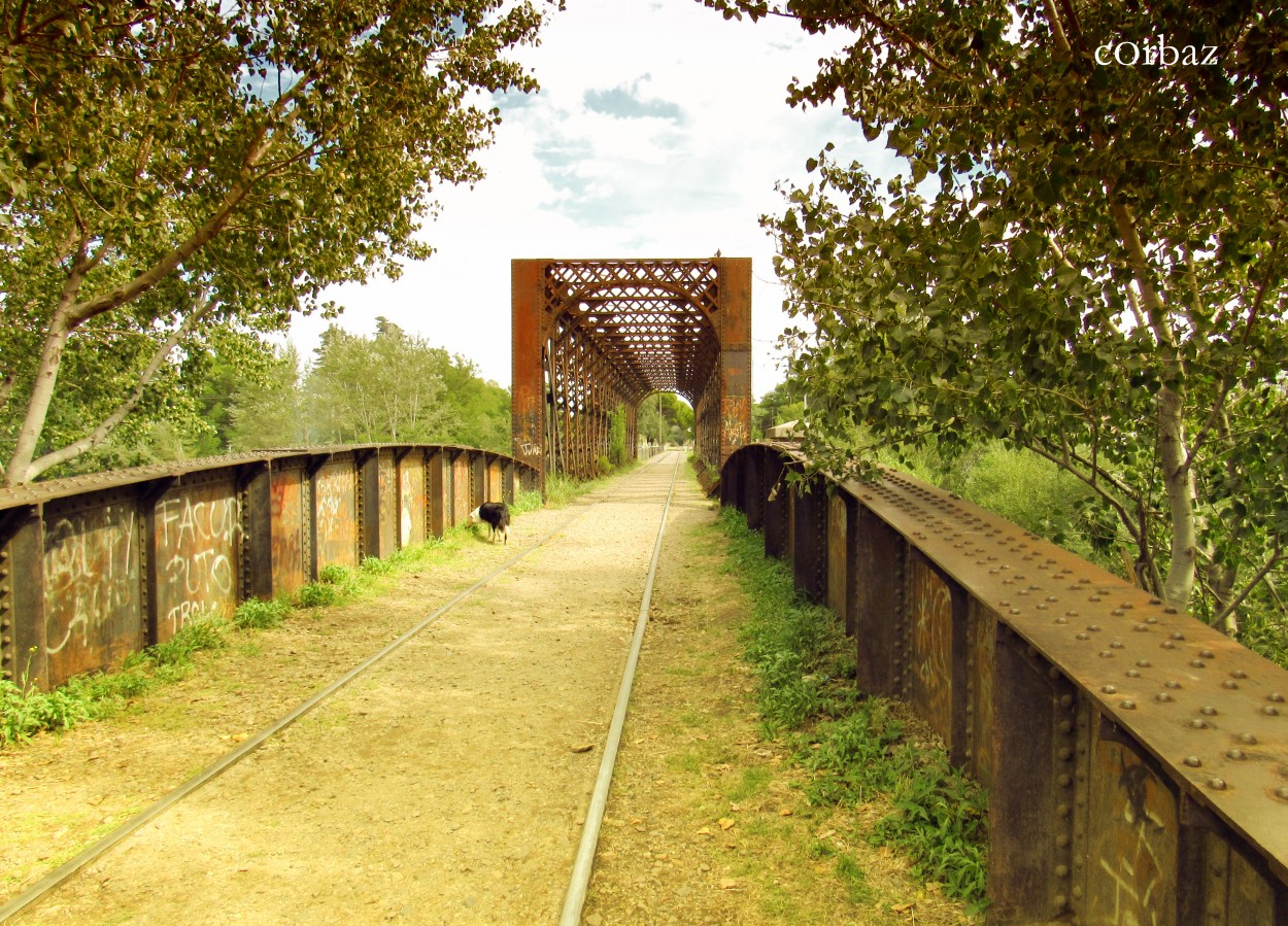 "Puente FFCC" de Alberto Corbaz