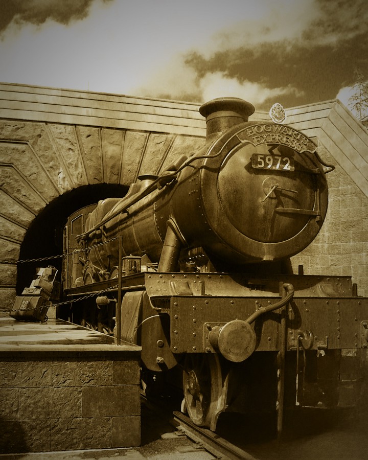 "Hogwarts Express" de Andrs Gonzlez