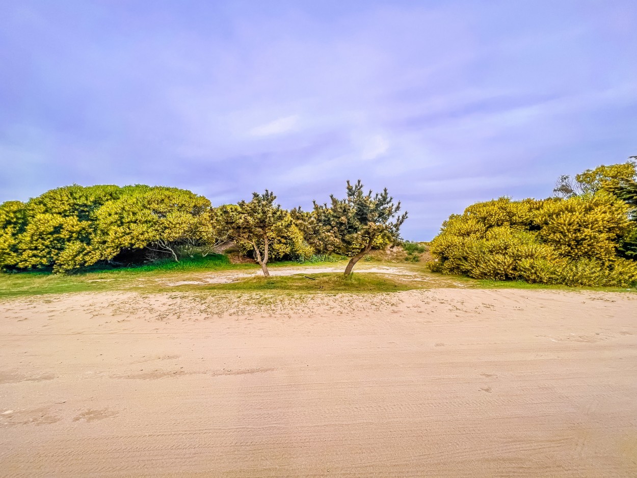 FotoRevista / Convocatoria / Primavera en Valeria del Mar de Luis Alberto Bellini