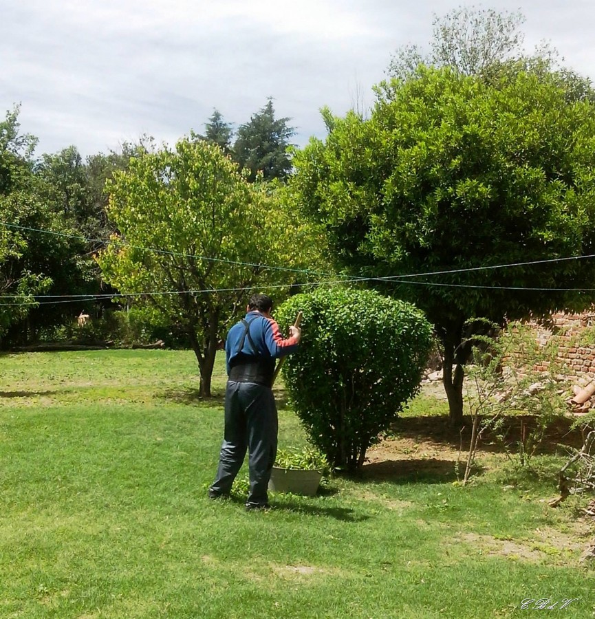 FotoRevista / Convocatoria / De Jardinero de Jorge Vargas